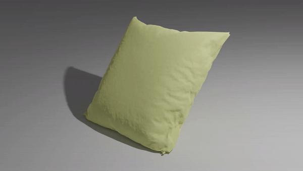 Cushion