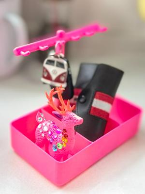 Key and earring case with hook