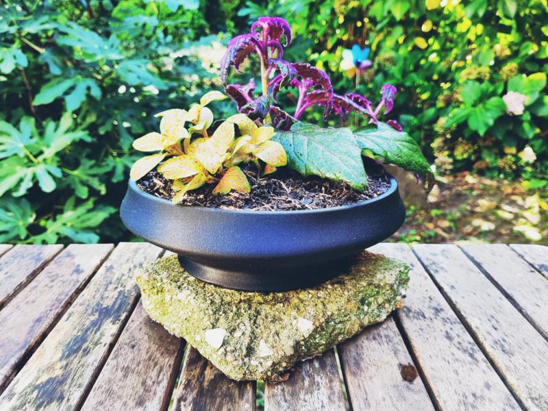 Round Bonsai Pot / Planter