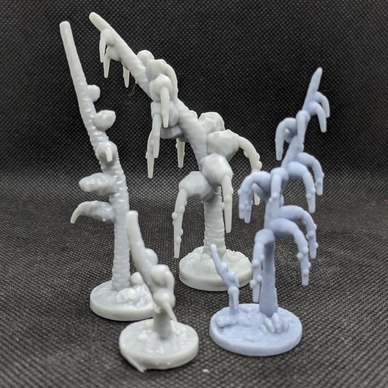 Drooper Tree - alien plants