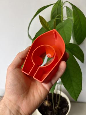Avocado Boat 3.0 - Grow your own avocado tree!