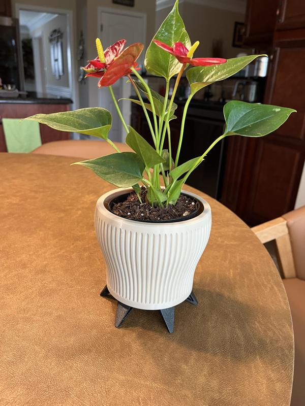 Planter with legs