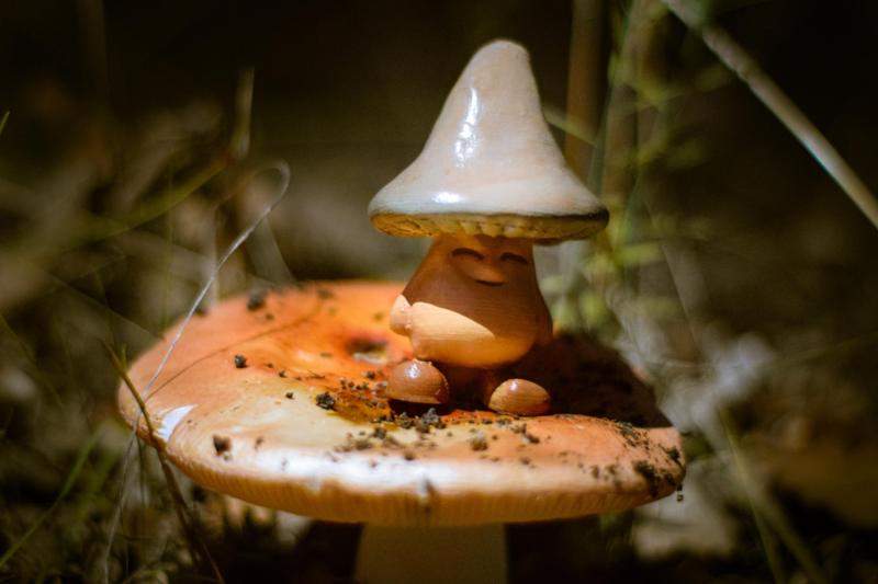 Animated Mushroom Wizard