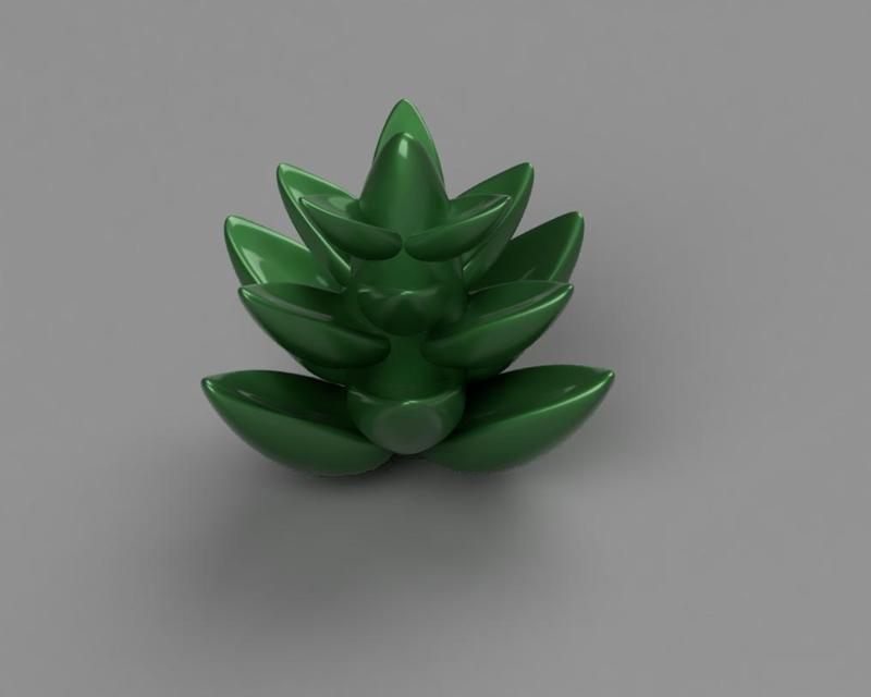 Minimalist Succulent Plant 3D File for Printer
