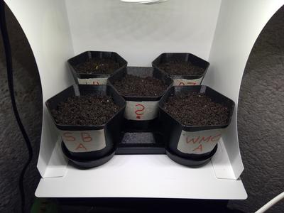 Small Planter Set