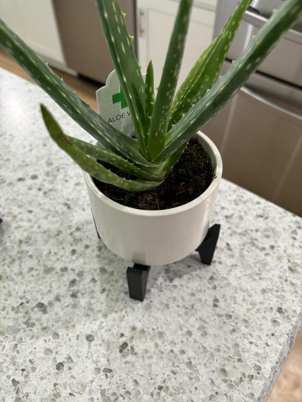 Minimalist Potted Plant Holder