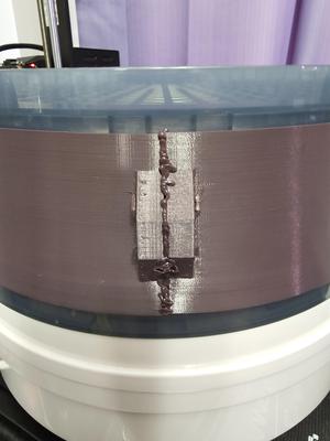 Salton VitaPro DH1454 Filament Drier