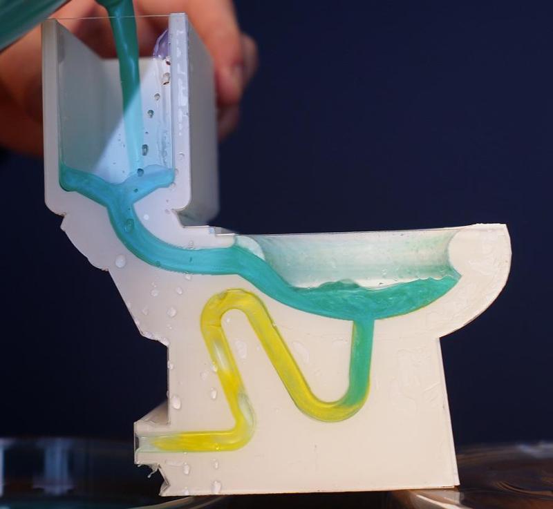 3D Toilet Cut-In-Half Model