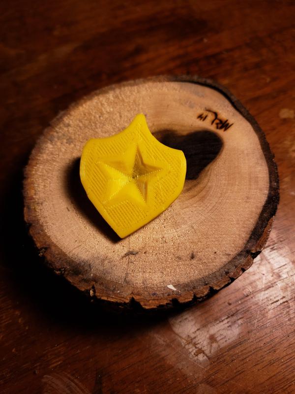 Sheriff Star Badge Pin