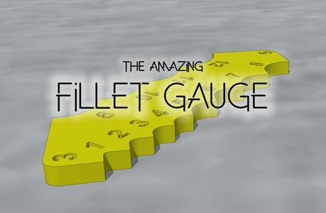 Fillet Gauge