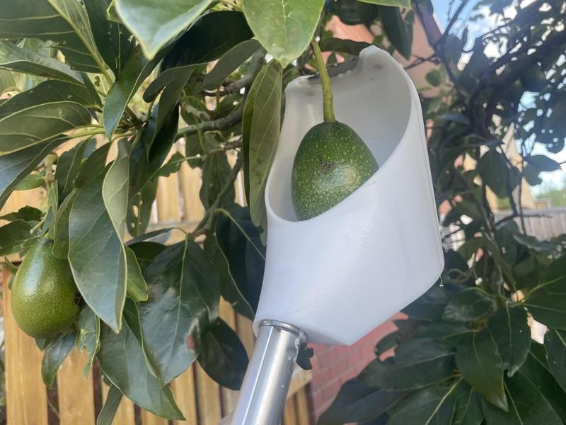 Fruit picker with cutter