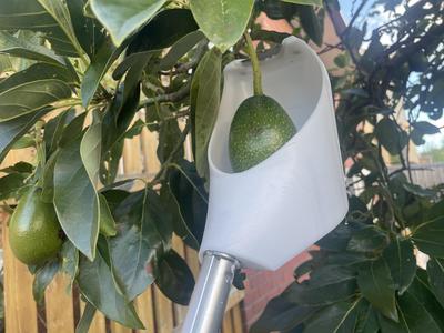 Fruit picker with cutter