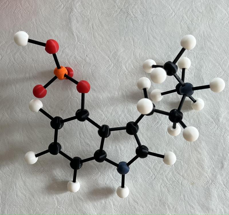 Ball and Stick Model (no support)
