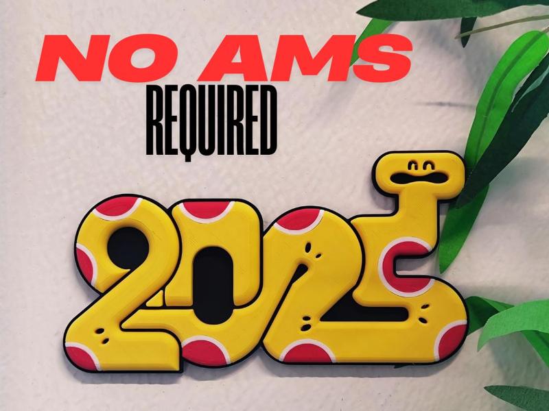 2025 Year of the Snake Graffiti Lettering Sign