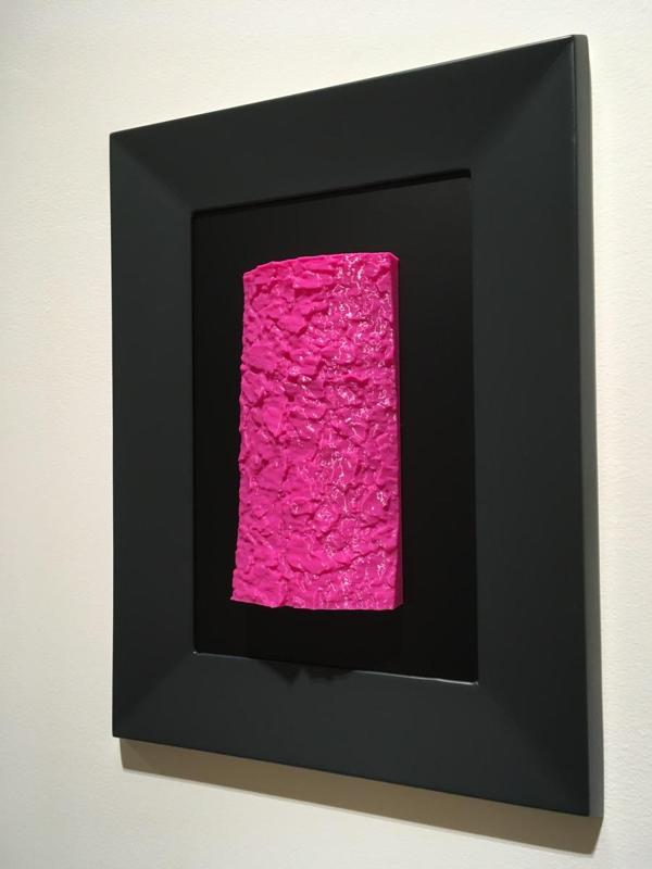 Mendi-Pinua / Mountain Pine / Pino Negro / Pinus uncinata