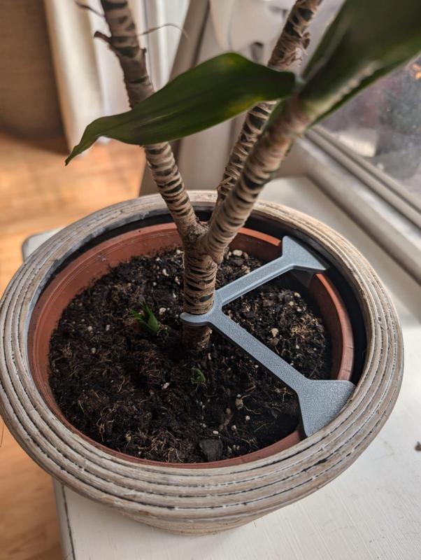 Parametric Plant-in-Place-Holder / Straightner / Support