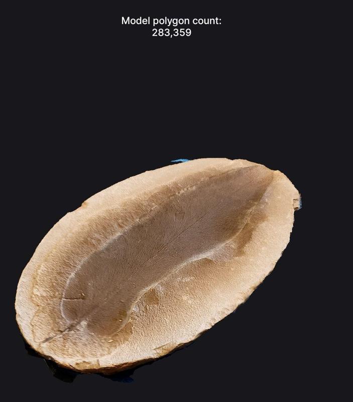 Mazon Creek Fossils - 3D Scans