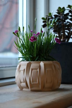 Pot 1