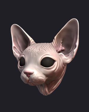 Sphinx cat