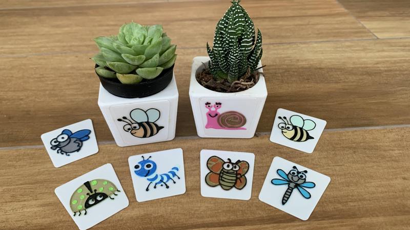 Planter for cactus