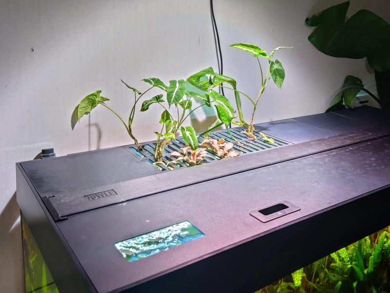 Juwel Rio 350 Modular Lid