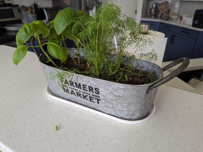 Oval Planter Tray