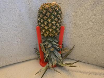 Pineapple Stand