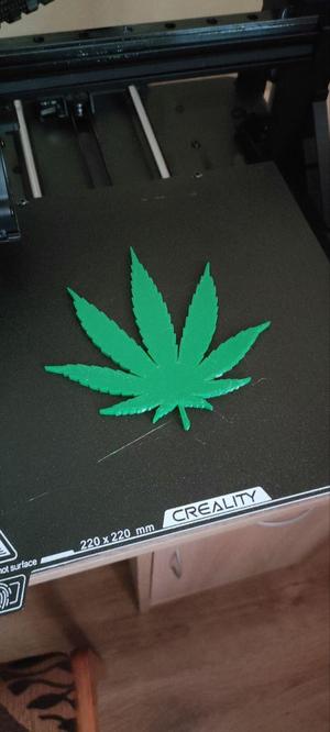 Things: Cannabis edition