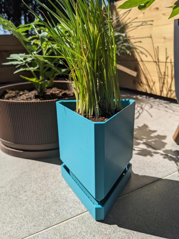 Triangle Pot with Integrated Tray