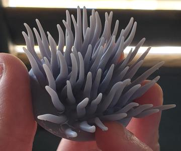 Anemone 2