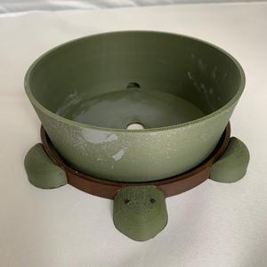 Turtle Pot