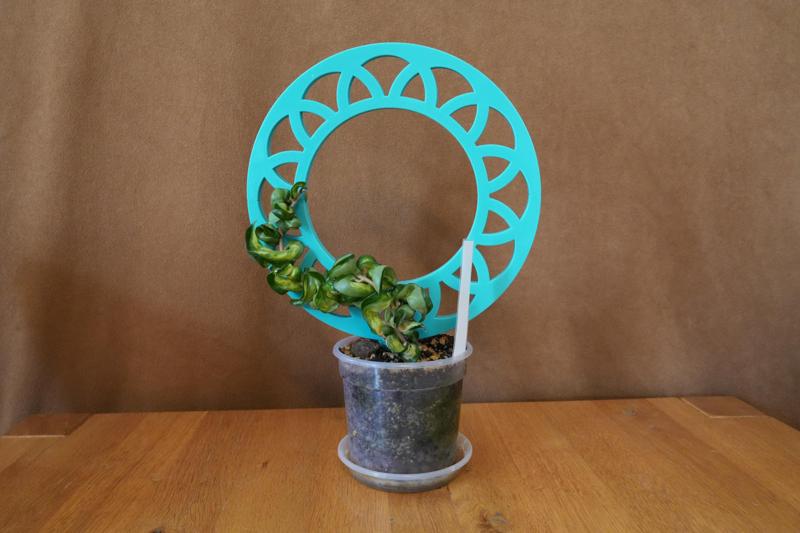 Climbing aid for plants