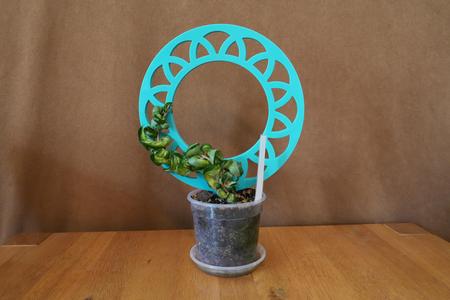 Climbing aid for plants