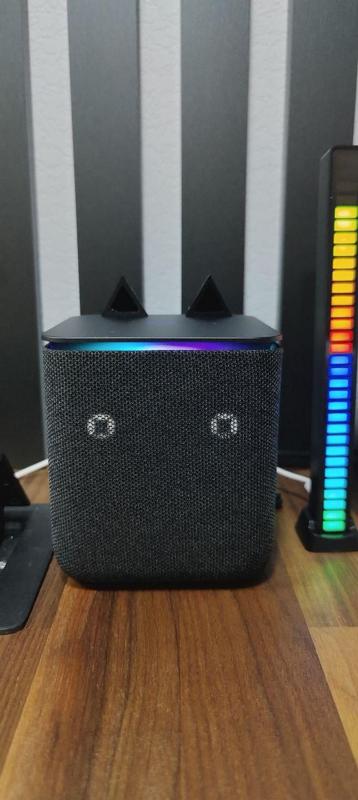 Yandex Station Midi hears