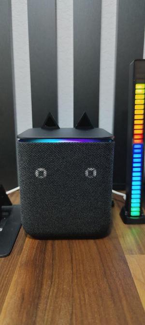 Yandex Station Midi hears