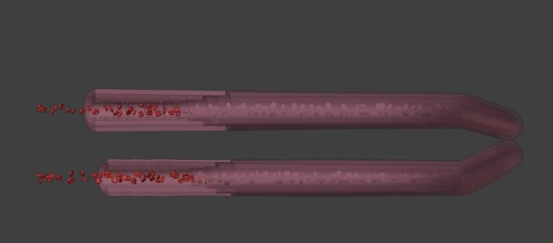 3D Model of Blood Vessels Anatomy