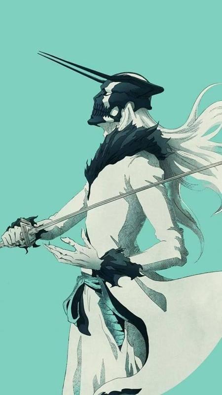 Ichigo Full hollow 2