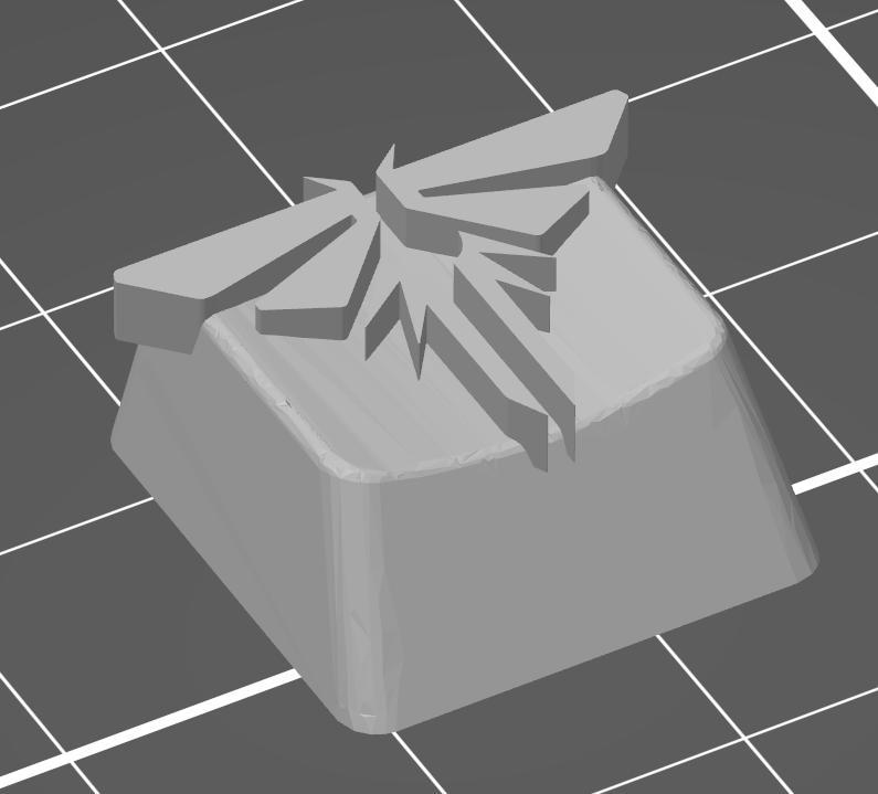 key - The Last of Us