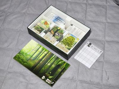 Forest Shuffle + Expansions Insert (v2)