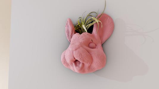 chinchilla smiling head wall mount planter pot flower vase stl