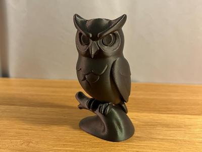 Spooky Owl