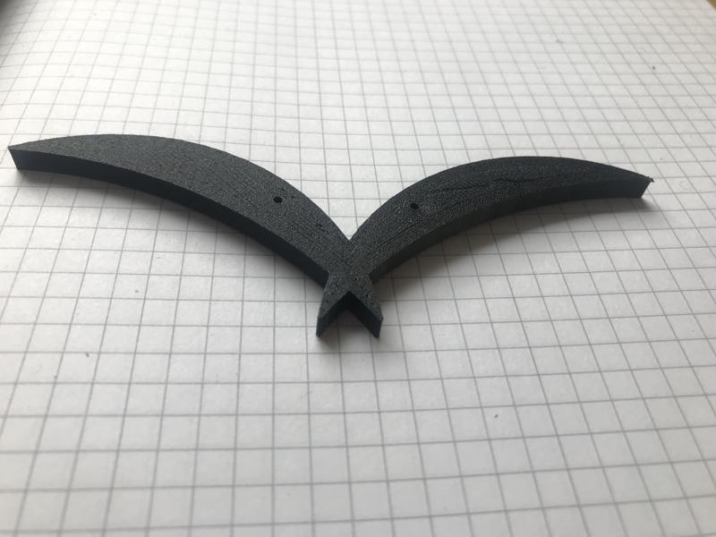 Studies-without-boarders-bird