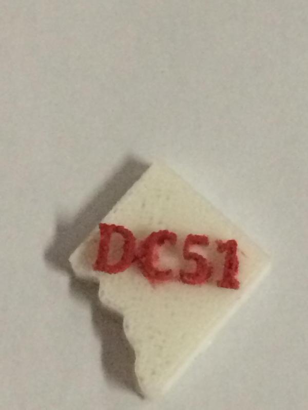 DC51 Pin