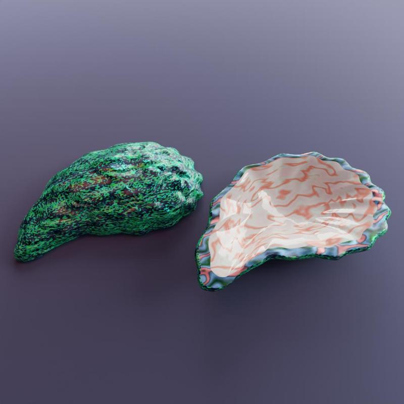 Oceanic Gem (oyster shell 2)