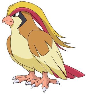 PIDGEOT