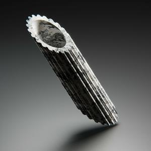 penne rigate or mostachol