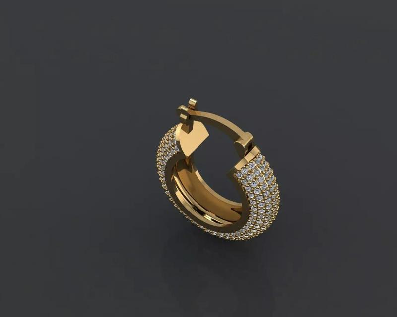 Earrings