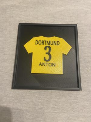 Waldemar Anton jersey with frame
