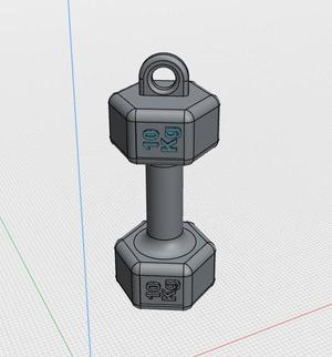 GYM key ring weights