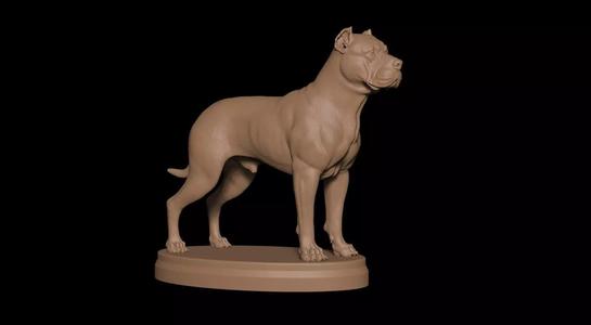 Presa Canario